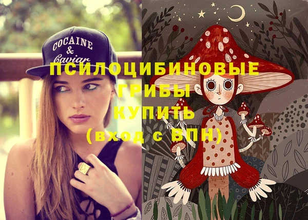 спиды Абинск